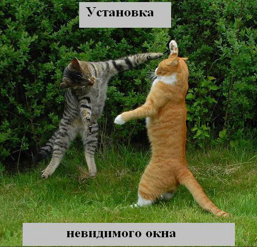 Галерея смеха) Funny_cats_16