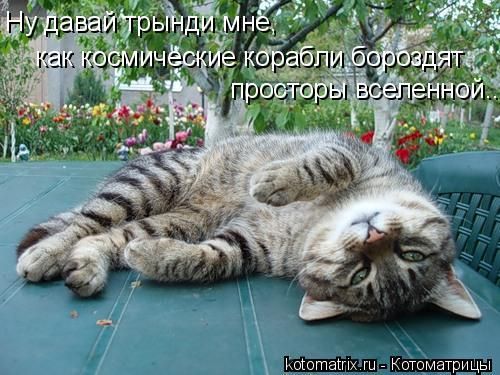 http://ru.trinixy.ru/pics3/20080627/kotomatrix_13.jpg