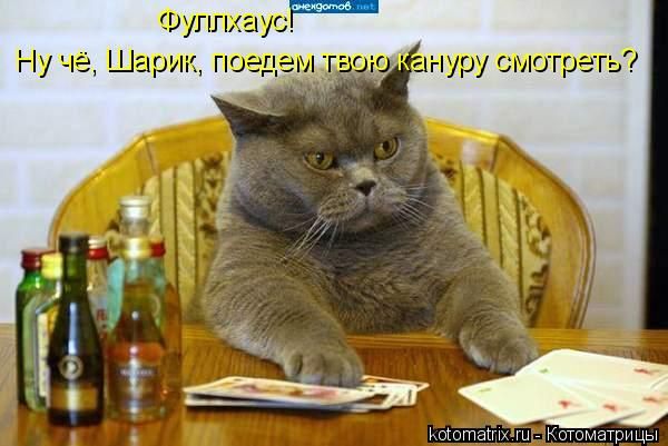 http://ru.trinixy.ru/pics3/20080627/kotomatrix_67.jpg