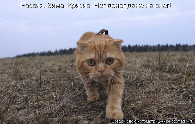 http://ru.trinixy.ru/pics3/20081219/kotomatrix_25.jpg