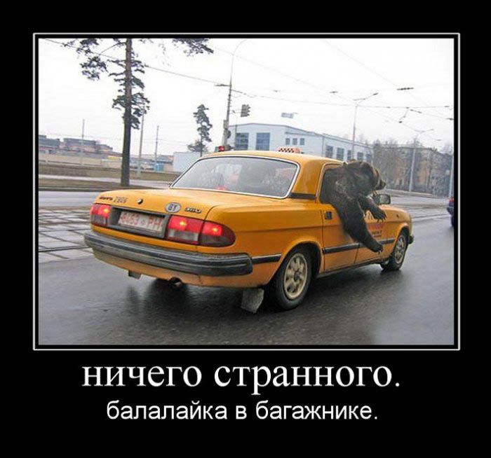 http://ru.trinixy.ru/pics4/20100129/demotivatori_16.jpg